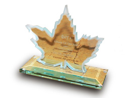 Award: Album of the Year 2007 in Canada